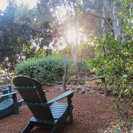 Bentwood Olive Grove Accommodation Greenough Quarto foto