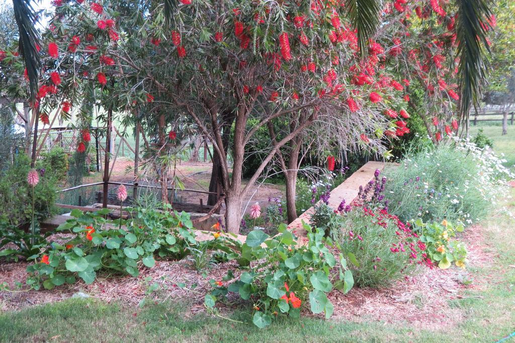 Bentwood Olive Grove Accommodation Greenough Quarto foto