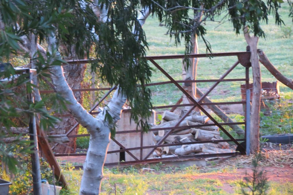 Bentwood Olive Grove Accommodation Greenough Quarto foto