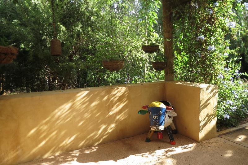 Bentwood Olive Grove Accommodation Greenough Exterior foto